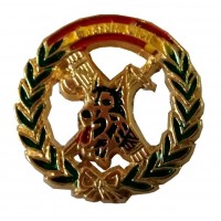 Pin Guardia Civil Emblema...