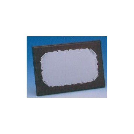 Placa Aluminio Brillo 1302 Placa Aluminio Brillo 1302