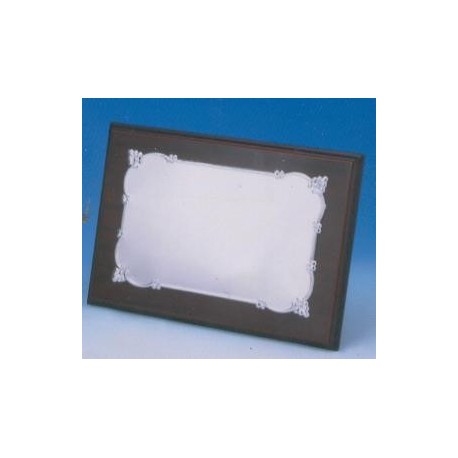 Placa Aluminio Brillo 1313 Placa Aluminio Brillo 1313