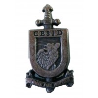 Pin Policía CESID