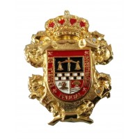 Pin Policía Escuela...