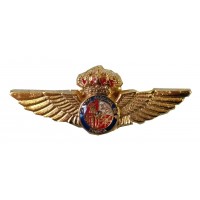 Pin Emblema Helicópteros...